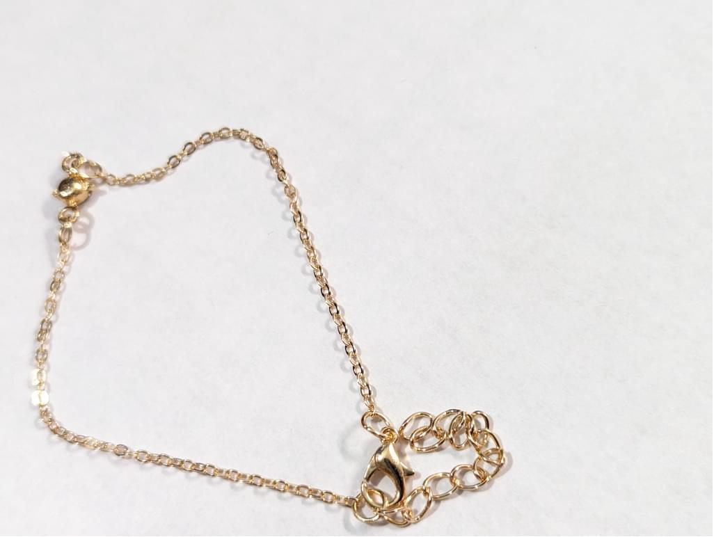 Womens GoldTone Clear Cubic Zirconia Bracelet Anklet Chain Adjustable New 9.5"