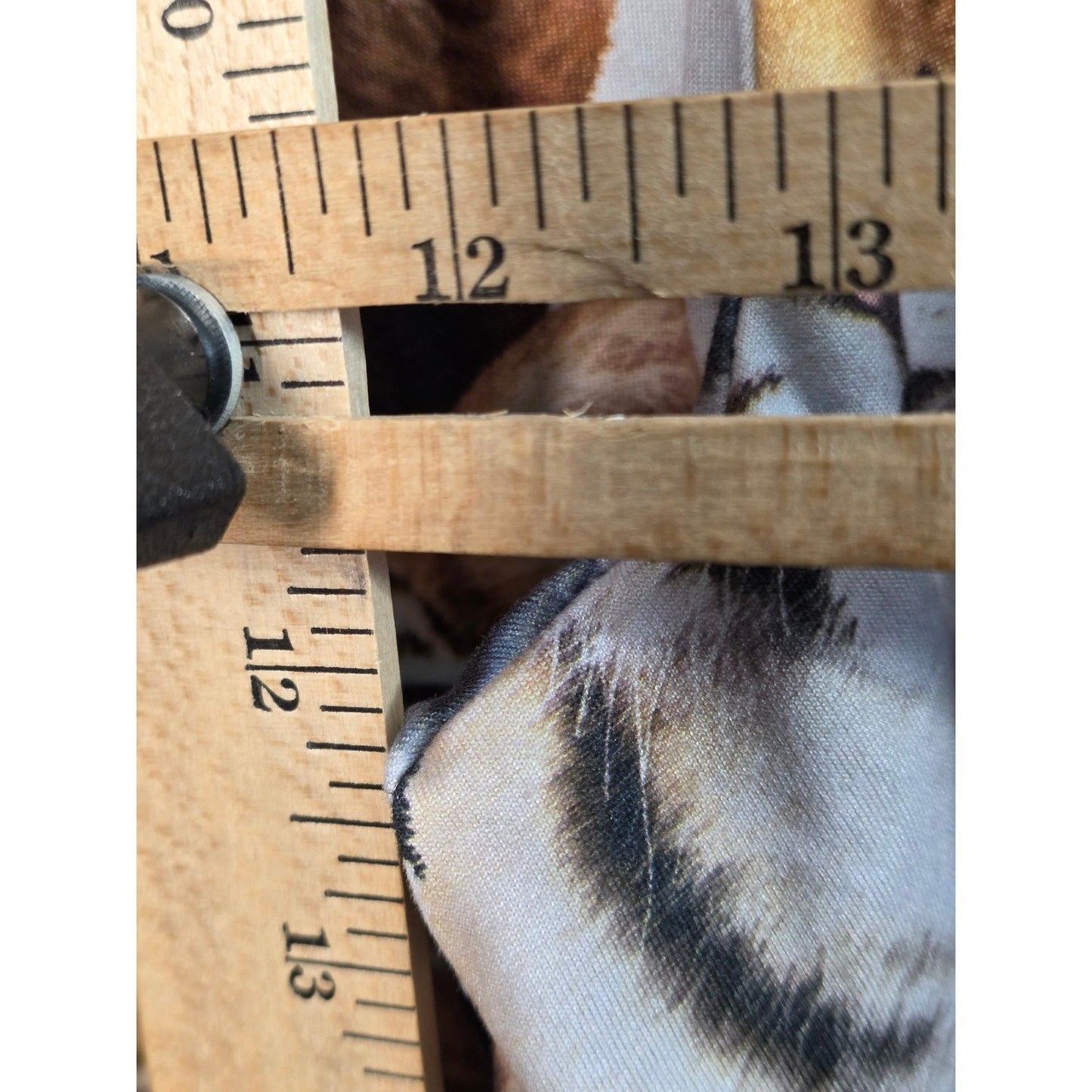 Secret Treasures Pajama Pants Plus Size 2X XX Lions Tigers Bears Sloths Animal