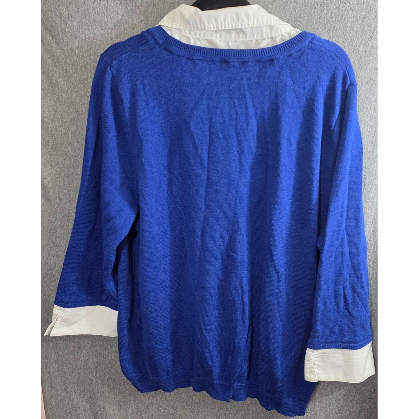 Notations Owl Graphic Layered Look Sweater Plus Size 2X XX Blue White Collared