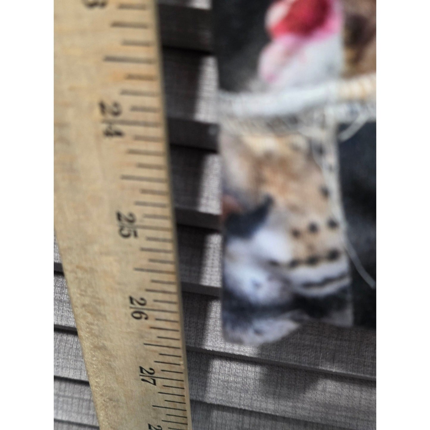 Secret Treasures Pajama Pants Plus Size 2X XX Lions Tigers Bears Sloth Animal NT