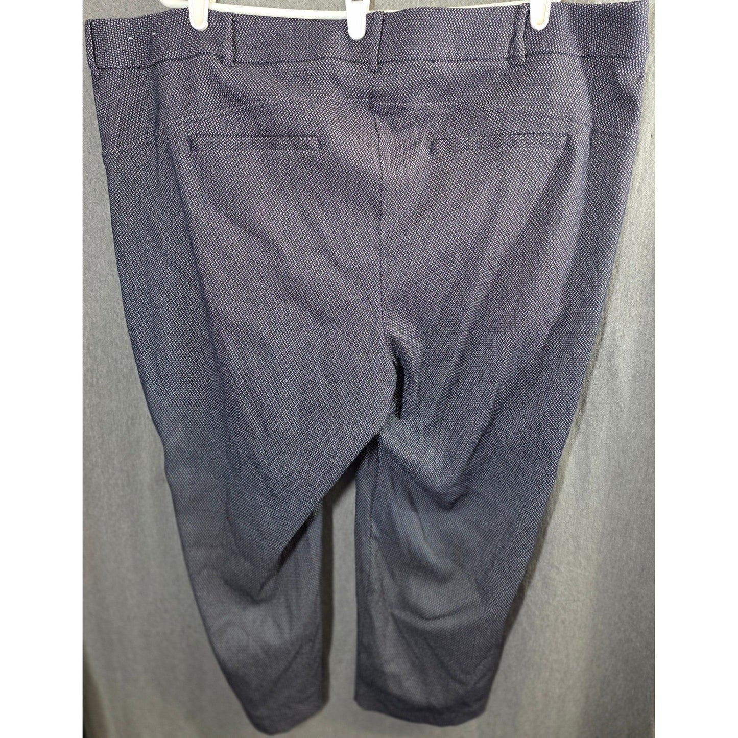 Lane Bryant Pants Plus Size 28 P Petite 28P Blue White Ankle Trousers POckets