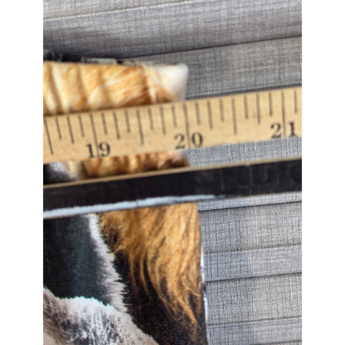 Secret Treasures Pajama Pants Plus Size 2X XX Lions Tigers Bears Sloth Animal NT